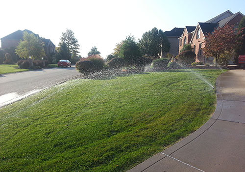 irrigated lawns
